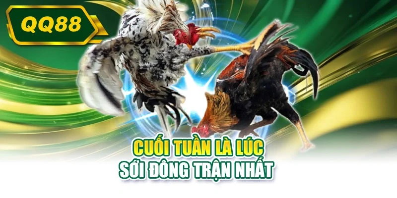 Cuối tuần là lúc sới đông trận nhất